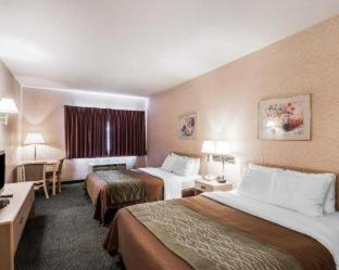 Quality Inn Tulalip - Marysville - Marysville - 6