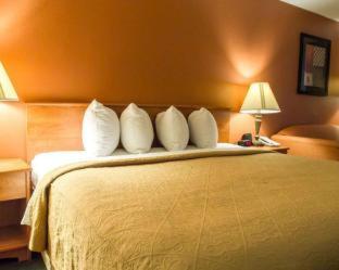 Quality Inn Kennedy Space Center - 8