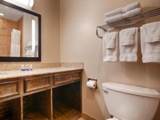 Best Western Plus Palo Alto Inn and Suites - San Antonio - 6