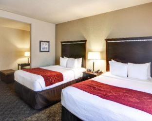 Comfort Suites Arlington - Entertainment District - 5