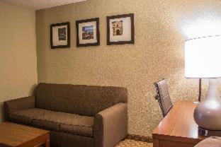 Comfort Suites Near Seaworld - San Antonio - 5
