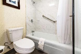 New Hope Inn & Suites - New Hope - 9
