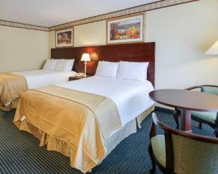 New Hope Inn & Suites - New Hope - 5