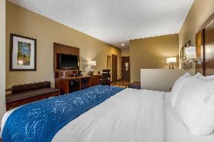 Comfort Suites - Cedar Falls - 7