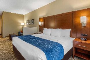 Comfort Suites - Cedar Falls - 6