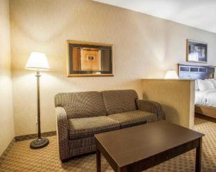 Comfort Suites - Cedar Falls - 4