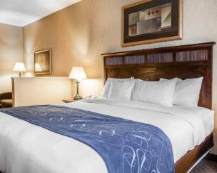 Comfort Suites - Cedar Falls - 2