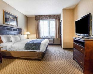 Comfort Suites - Cedar Falls - 1