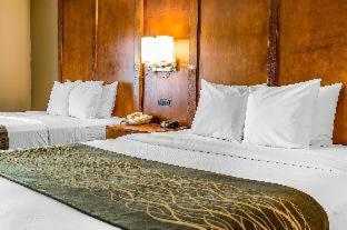 Comfort Inn Romeoville - Bolingbrook - 8