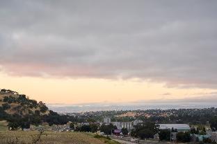 Bellasera Hotel & Suites Paso Robles, Tapestry by Hilton - Paso Robles - 9