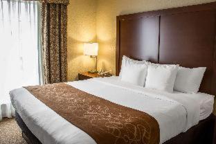 Comfort Suites Near Seaworld - San Antonio - 4