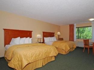Comfort Inn Near Vail Beaver Creek - 3