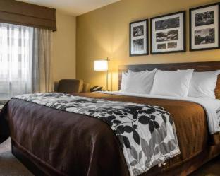 Sleep Inn & Suites Bismarck I-94 - Bismarck - 2