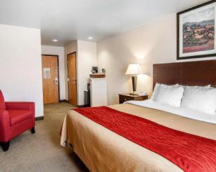 Comfort Inn & Suites Creswell - 4