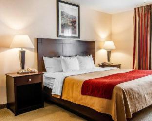 Comfort Inn & Suites Creswell - Creswell - 2