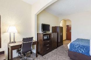 Comfort Suites New Orleans East - 4