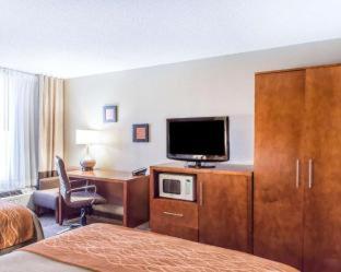 Comfort Inn North-Polaris - 7