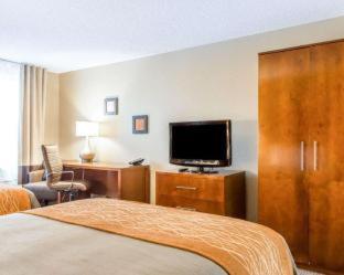 Comfort Inn North-Polaris - 6