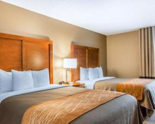 Comfort Inn North-Polaris - 4