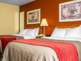 Comfort Inn Green Valley I-19 - 8