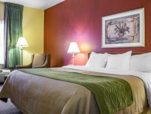 Comfort Inn Green Valley I-19 - 6
