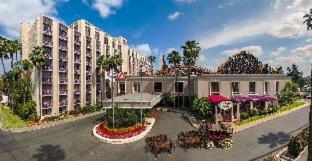 Knott's Hotel - 2