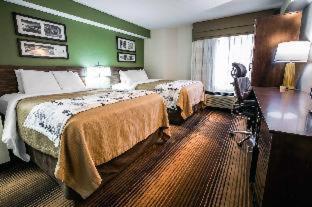 Sleep Inn & Suites Kingsport TriCities Airport - 8