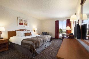 Ramada by Wyndham SeaTac Airport - SeaTac - 3