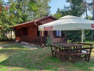 Forest Villa- domki - Susiec - 9