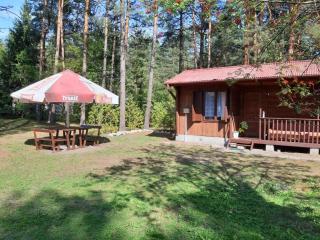 Forest Villa- domki - Susiec - 7