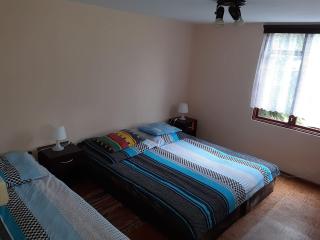Forest Villa- domki - Susiec - 5