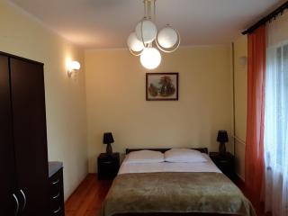 Forest Villa - Susiec - 3
