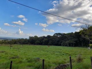 Hospedaje Rural Amanecer Llanero - 8