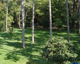 Villa Anny - Lignano Sabbiadoro - 5
