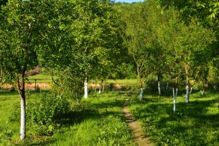 Котедж Любов - 1