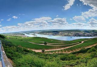Fewo Zur Goldenen Traube - Rüdesheim am Rhein - 1