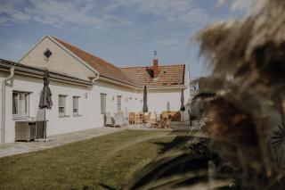 Peter Lamster Top2 - 7