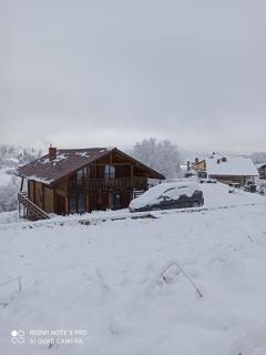 Cottage Kurshevel - Slavske - 9