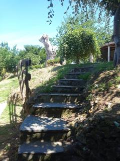 Apartamentos Rio Eo - San Tirso de Abres - 6