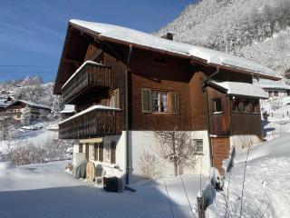 Gemütliche Dachwohnung im Chalet mit Bergblick - Engelberg - 9