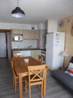 APPARTEMENT PUY SAINT VINCENT ALPES DU SUD été - hiver - Puy-Saint-Vincent - 0
