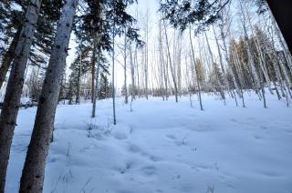 The Arc of Vail - 7