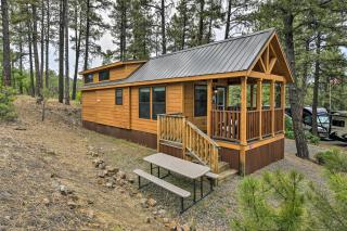 Pagosa Springs Tiny Cabin Fish, Hike, Ski and Soak! - Pagosa Springs - 8