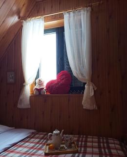 Guest house Holiday - Žabljak - 2