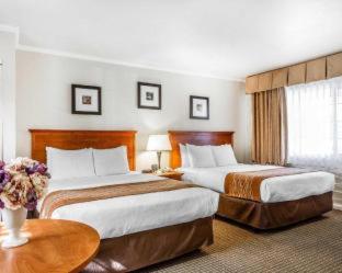 The Inn at 1252 Monterey - 6