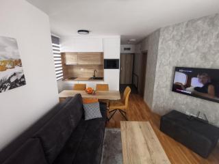 APARTHOTEL CENTRALA Apartman 10 - Jahorina - 5