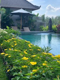Paraiso Cottage Ubud - Ubud - 7