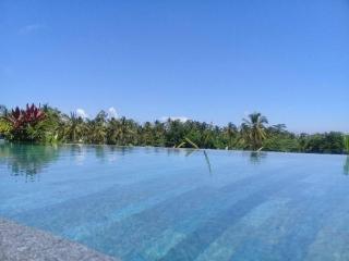 Paraiso Cottage Ubud - Ubud - 4