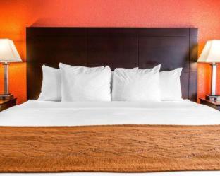 Comfort Inn & Suites and Conference Center - Mount Pleasant - 9