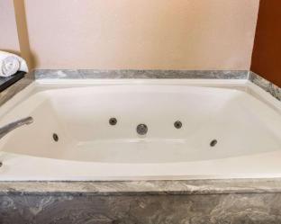 Comfort Inn & Suites and Conference Center - Mount Pleasant - 8